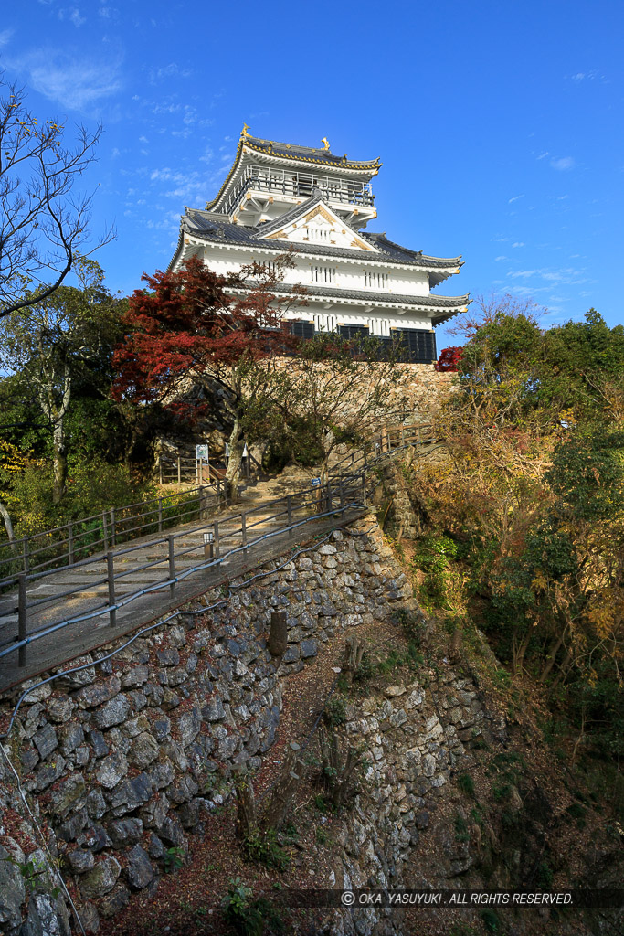 岐阜城天守と戦国時代の石垣