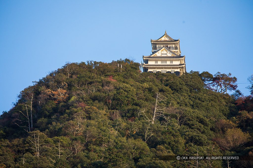 岐阜城遠景