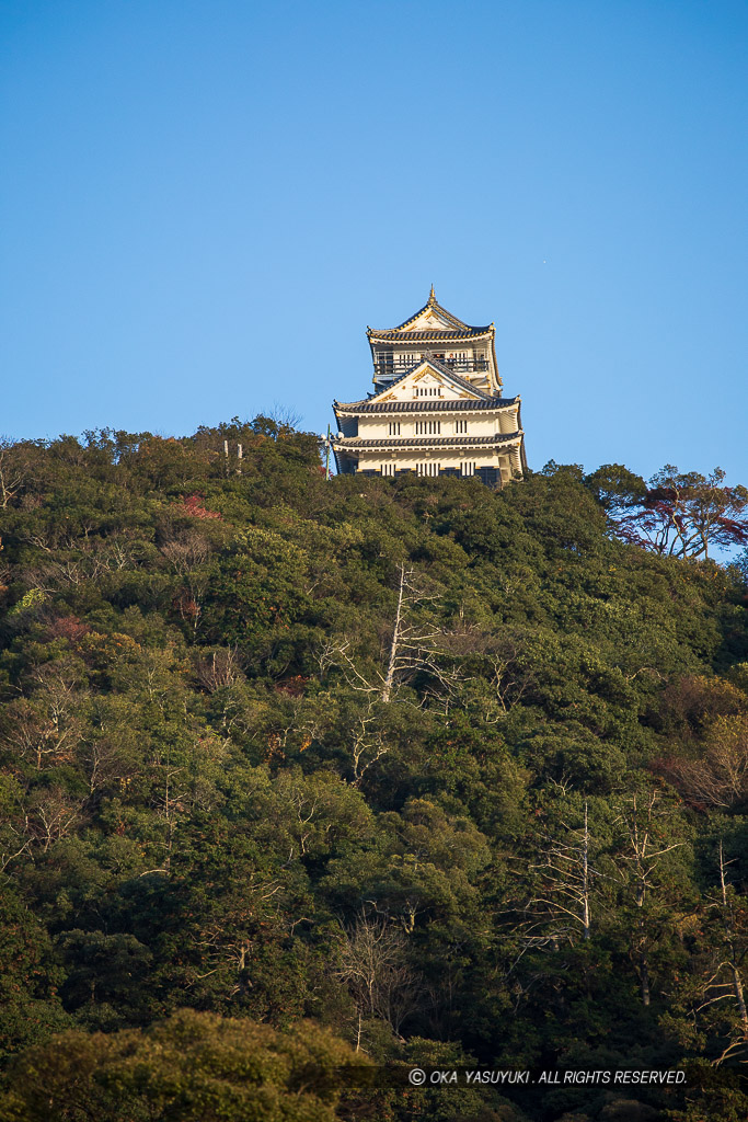 岐阜城遠景