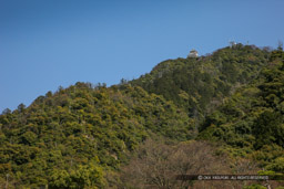 山麓から見た稲葉山｜高解像度画像サイズ：5616 x 3744 pixels｜写真番号：1P3J6243｜撮影：Canon EOS-1Ds Mark III