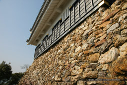 岐阜城天守台石垣|高解像度画像サイズ:5616 x 3744 pixels|写真番号:1P3J6287|撮影:Canon EOS-1Ds Mark III