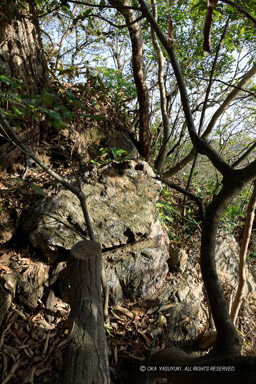 岐阜城伝一ノ門跡石垣｜高解像度画像サイズ：4480 x 6720 pixels｜写真番号：5D4A2927｜撮影：Canon EOS 5D Mark IV