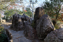因幡山山頂に残る岩|高解像度画像サイズ:6720 x 4480 pixels|写真番号:5D4A3095|撮影:Canon EOS 5D Mark IV