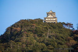 岐阜城遠景｜高解像度画像サイズ：6720 x 4480 pixels｜写真番号：5D4A3215｜撮影：Canon EOS 5D Mark IV