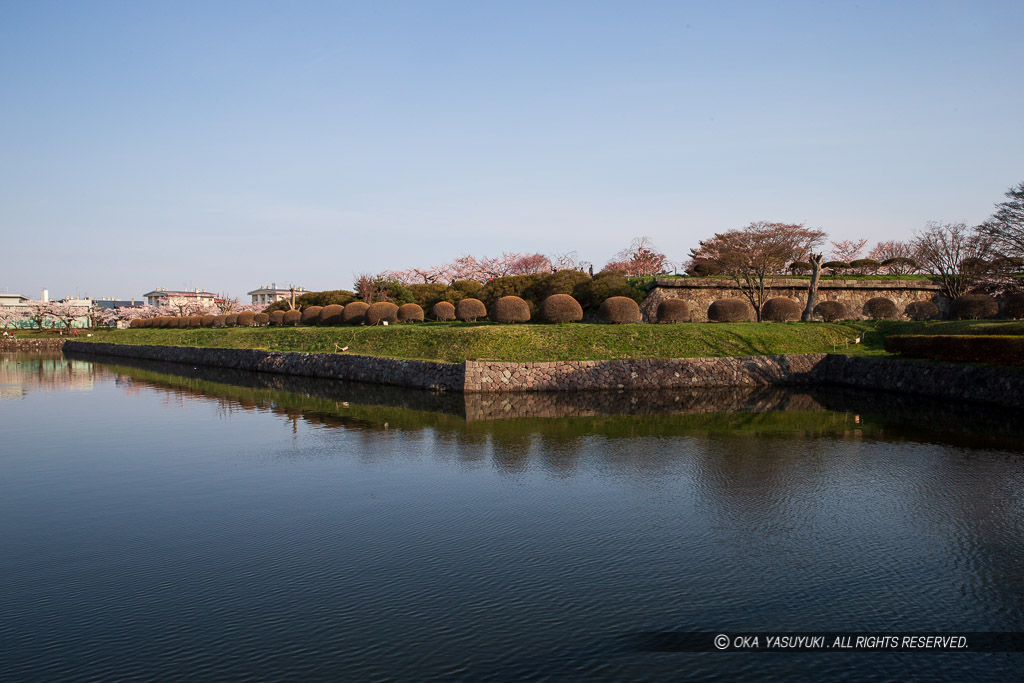 堀の風景