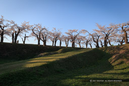 大砲を運んだ坂｜高解像度画像サイズ：5096 x 3397 pixels｜写真番号：1DX_9523｜撮影：Canon EOS-1D X