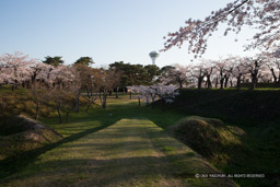 大砲を運んだ坂｜高解像度画像サイズ：5184 x 3456 pixels｜写真番号：1DX_9525｜撮影：Canon EOS-1D X