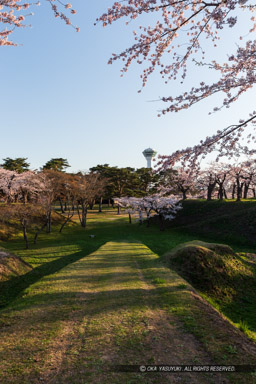 大砲を運んだ坂｜高解像度画像サイズ：3456 x 5184 pixels｜写真番号：1DX_9527｜撮影：Canon EOS-1D X