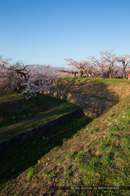 本累｜高解像度画像サイズ：3456 x 5184 pixels｜写真番号：1DX_9537｜撮影：Canon EOS-1D X