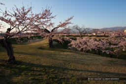 本累｜高解像度画像サイズ：5184 x 3456 pixels｜写真番号：1DX_9548｜撮影：Canon EOS-1D X