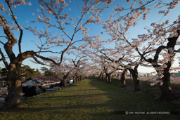 本累｜高解像度画像サイズ：5184 x 3456 pixels｜写真番号：1DX_9551｜撮影：Canon EOS-1D X