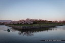 堀と桜の風景｜高解像度画像サイズ：5095 x 3396 pixels｜写真番号：1DX_9593｜撮影：Canon EOS-1D X