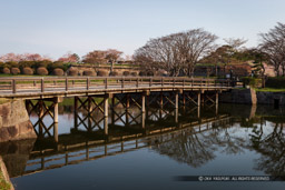 五稜郭二の橋｜高解像度画像サイズ：5184 x 3456 pixels｜写真番号：1DX_9604-Edit｜撮影：Canon EOS-1D X