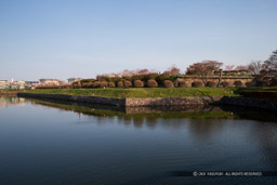 堀の風景｜高解像度画像サイズ：5184 x 3456 pixels｜写真番号：1DX_9606｜撮影：Canon EOS-1D X