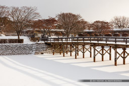 五稜郭二の橋（雪）｜高解像度画像サイズ：6657 x 4438 pixels｜写真番号：5D4A5964｜撮影：Canon EOS 5D Mark IV