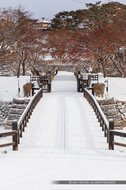 土方歳三入城時期とその目線・五稜郭二の橋｜高解像度画像サイズ：4244 x 6386 pixels｜写真番号：5D4A5969｜撮影：Canon EOS 5D Mark IV