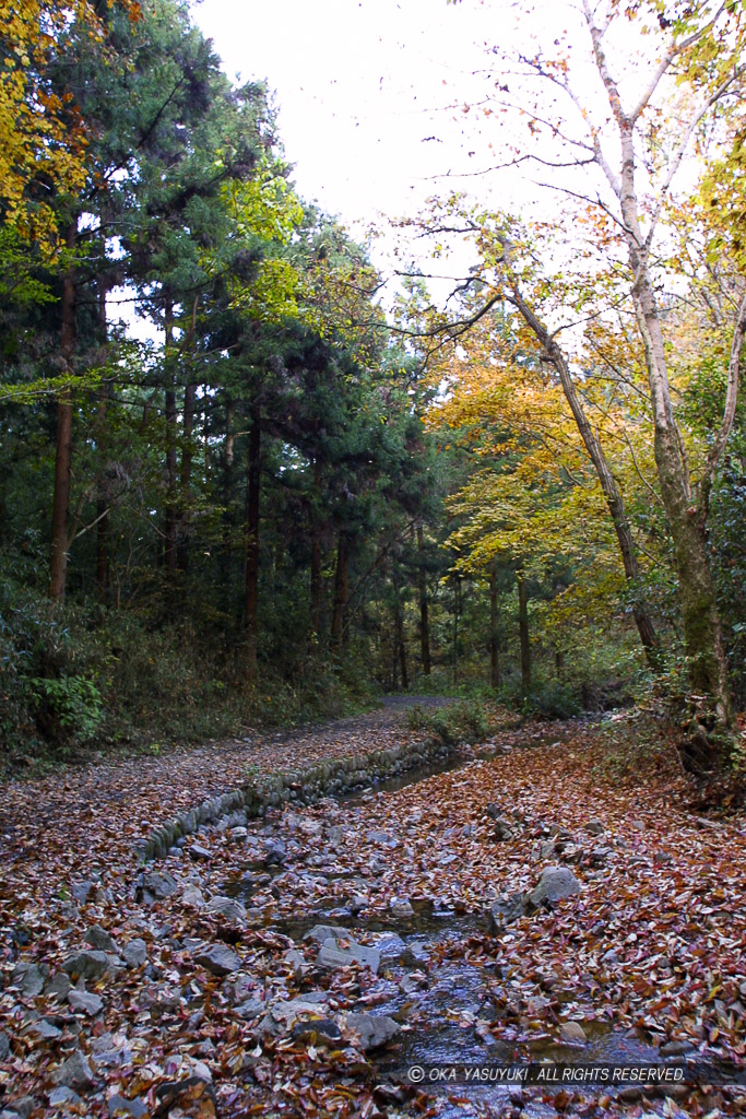 城山川