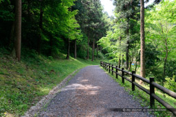 古道（大手道）｜高解像度画像サイズ：6480 x 4320 pixels｜写真番号：5DSA6089｜撮影：Canon EOS 5DS