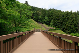 曳橋｜高解像度画像サイズ：6480 x 4320 pixels｜写真番号：5DSA6143｜撮影：Canon EOS 5DS