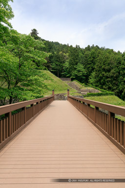 曳橋｜高解像度画像サイズ：4320 x 6480 pixels｜写真番号：5DSA6144｜撮影：Canon EOS 5DS