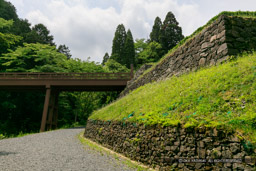 ｜高解像度画像サイズ：6321 x 4214 pixels｜写真番号：5DSA6288｜撮影：Canon EOS 5DS