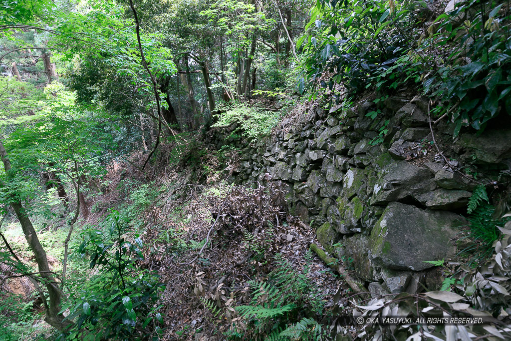 柵門跡付近東側の石垣