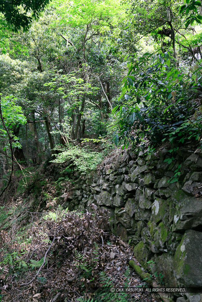 柵門跡付近東側の石垣