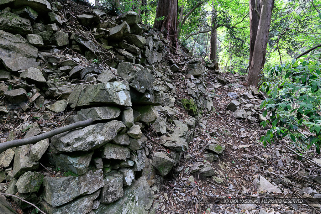 柵門跡付近東側の石垣