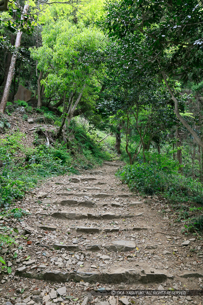 登山道