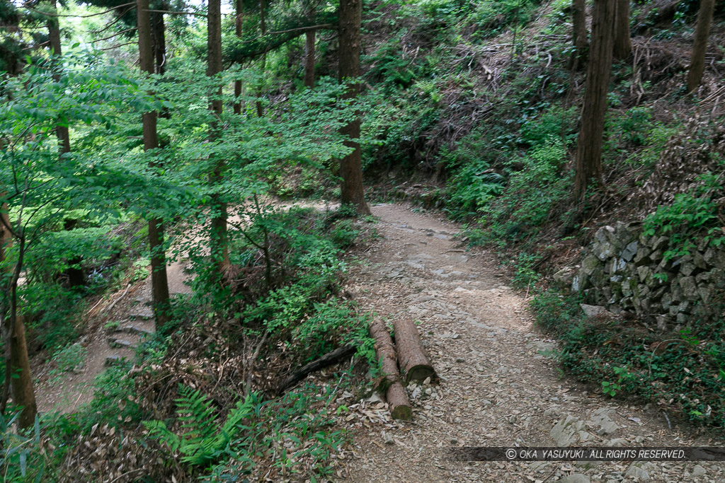 登山道