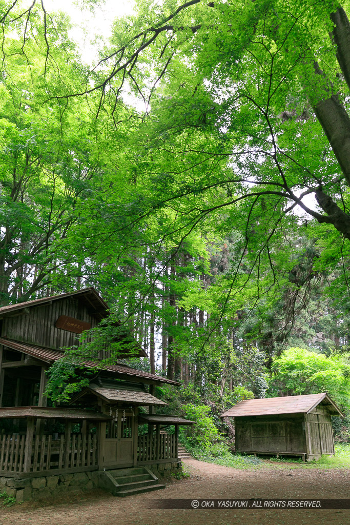 中の曲輪・八王子神社