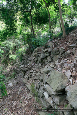 柵門跡付近東側の石垣｜高解像度画像サイズ：4320 x 6480 pixels｜写真番号：5DSA6313｜撮影：Canon EOS 5DS