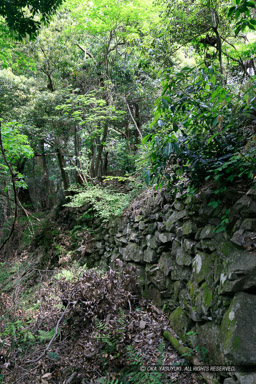 柵門跡付近東側の石垣｜高解像度画像サイズ：4320 x 6480 pixels｜写真番号：5DSA6316｜撮影：Canon EOS 5DS