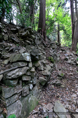 柵門跡付近東側の石垣｜高解像度画像サイズ：4320 x 6480 pixels｜写真番号：5DSA6318｜撮影：Canon EOS 5DS