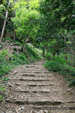 登山道｜高解像度画像サイズ：4263 x 6395 pixels｜写真番号：5DSA6324｜撮影：Canon EOS 5DS