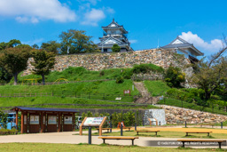 | 高解像度画像サイズ:8688 x 5792 pixels | 写真番号:5DSA2858 | 撮影:Canon EOS 5DS