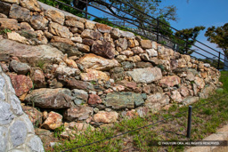 2014年発見の石垣・本丸南土塁 | 高解像度画像サイズ：8688 x 5792 pixels | 写真番号：5DSA2862 | 撮影：Canon EOS 5DS