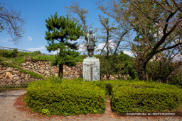 | 高解像度画像サイズ:8688 x 5792 pixels | 写真番号:5DSA2915 | 撮影:Canon EOS 5DS