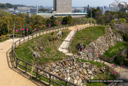 腰曲輪・富士見櫓跡 | 高解像度画像サイズ:8128 x 5419 pixels | 写真番号:5DSA7494 | 撮影:Canon EOS 5DS