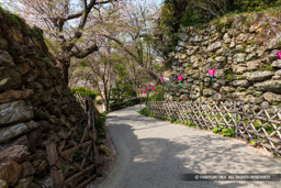 埋門跡 | 高解像度画像サイズ:8688 x 5792 pixels | 写真番号:5DSA7506 | 撮影:Canon EOS 5DS
