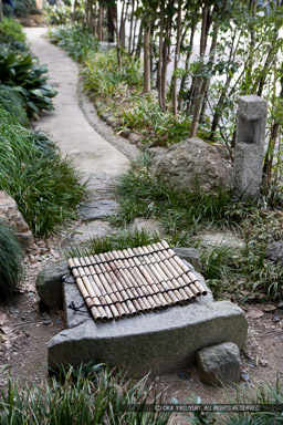 徳川秀忠公誕生の井戸|高解像度画像サイズ:3225 x 4837 pixels|写真番号:VJ7Z2516|撮影:Canon EOS-1Ds Mark II