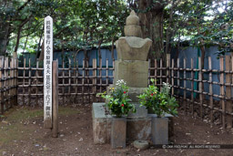 千代子の墓・宗源院｜高解像度画像サイズ：7680 x 5120 pixels｜写真番号：_DS_0326｜撮影：Canon EOS 5DS