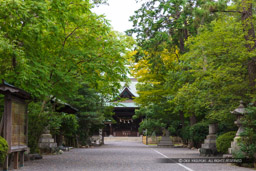 浜松八幡宮｜高解像度画像サイズ：8659 x 5773 pixels｜写真番号：_DS_0422｜撮影：Canon EOS 5DS