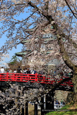 弘前城の桜・天守｜高解像度画像サイズ：3456 x 5184 pixels｜写真番号：1DX_8604｜撮影：Canon EOS-1D X