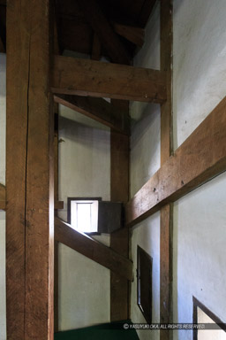 ｜高解像度画像サイズ：3130 x 4695 pixels｜写真番号：1DX_8923｜撮影：Canon EOS-1D X