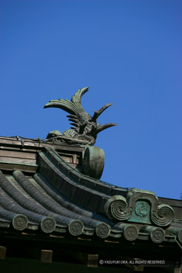天守・鯱｜高解像度画像サイズ：3328 x 4992 pixels｜写真番号：VJ7Z5249｜撮影：Canon EOS-1Ds Mark II