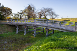 本丸内堀木橋 | 高解像度画像サイズ：8192 x 5464 pixels | 写真番号：344A2342 | 撮影：Canon EOS R5