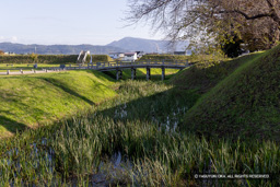 本丸内堀と木橋 | 高解像度画像サイズ：7708 x 5141 pixels | 写真番号：344A2375 | 撮影：Canon EOS R5