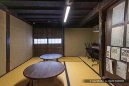 コベヤ | 高解像度画像サイズ：8192 x 5464 pixels | 写真番号：344A2417-強化-NR | 撮影：Canon EOS R5