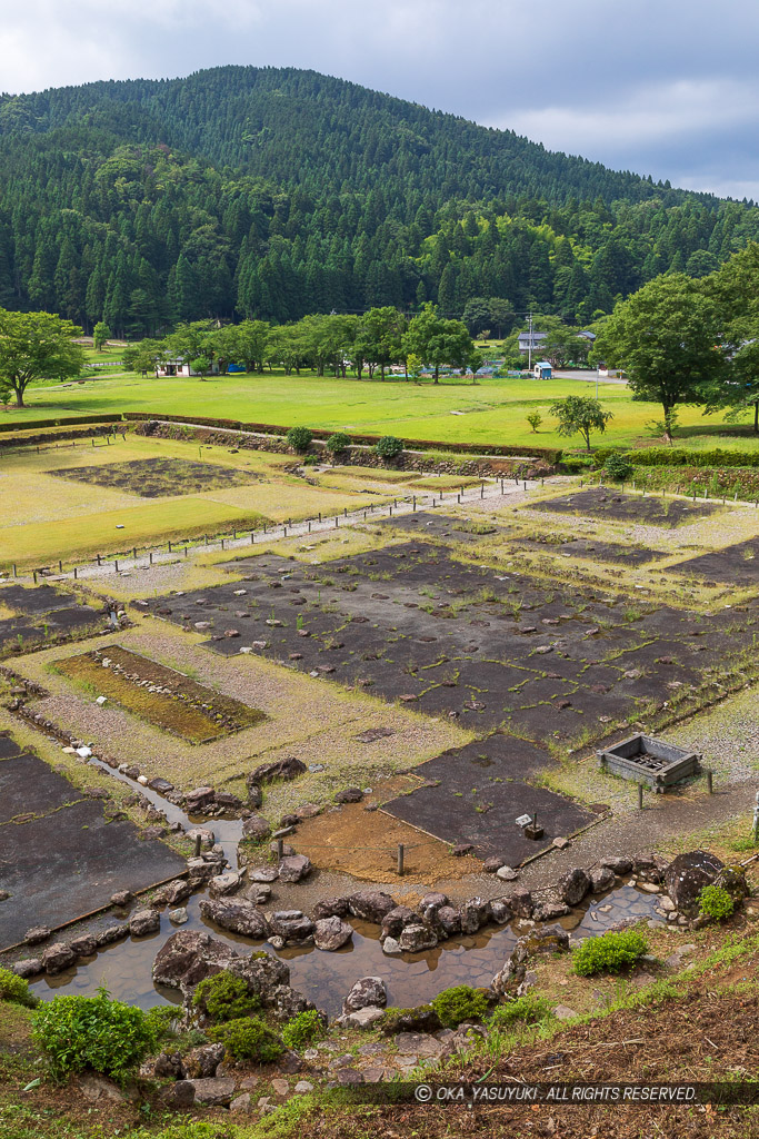 朝倉義景館跡全景・庭園